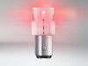 P21/5W Red LED bulbs Osram LEDriving® SL - BAY15d