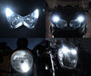 Led Veilleuses Blanc Xénon BMW Motorrad G 310 GS Tuning