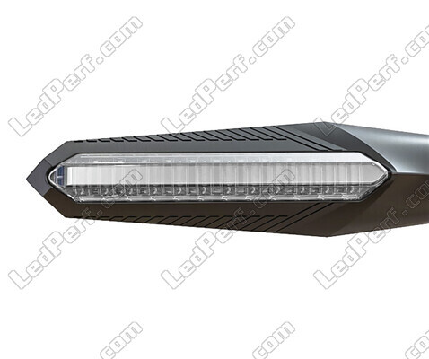 Vue avant des clignotants dynamiques LED avec feux de jour pour BMW Motorrad R 1200 GS (2009 - 2013)