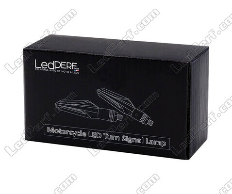 Packaging Clignotants Séquentiels à LED pour Royal Enfield Thunderbird 500X (2018 - 2020)