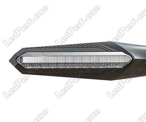 Front view of dynamic LED turn signals + brake lights for Aprilia Caponord 1000 ETV